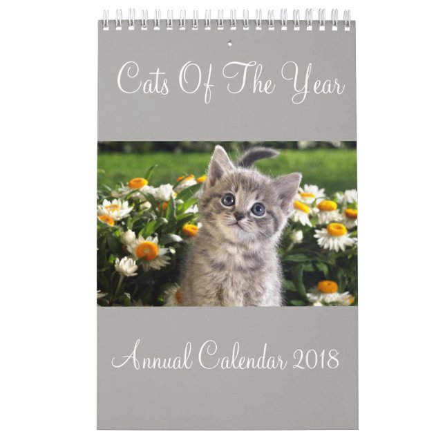 Katzen des Jahreskalenders 2018 Kalender (Titelbild)