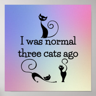Katzen des Normal-vor drei lustiger Plakat-Druck Poster