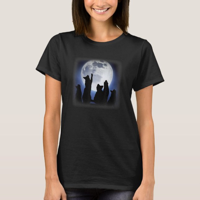 Katzen, die den Mond für Katzen suchen T-Shirt (Vorderseite)