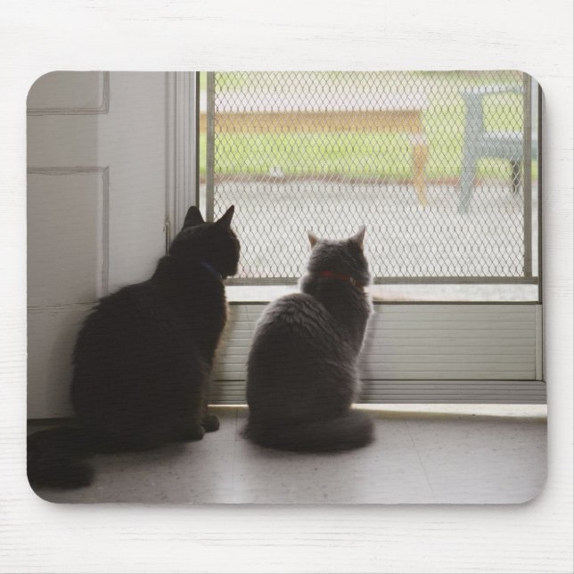 Katzen, die die Tür auf dem Bildschirm aussehen Mousepad (Vorne)