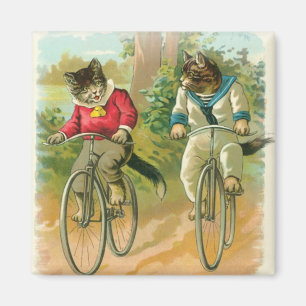 Katzen, die Fahrräder reiten Magnet