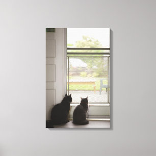 Katzen, die heraus Eingangstür mit Fliegengitter Leinwanddruck