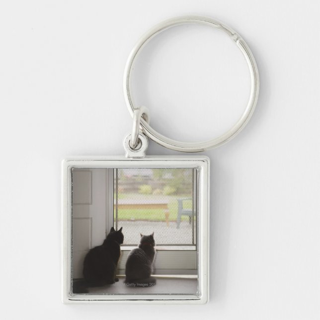 Katzen, die heraus Eingangstür mit Fliegengitter Schlüsselanhänger (Vorne)