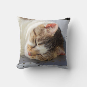 Katzen, die in einem Garten schlafen Kissen