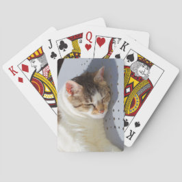Katzen, die in einem Garten schlafen Spielkarten
