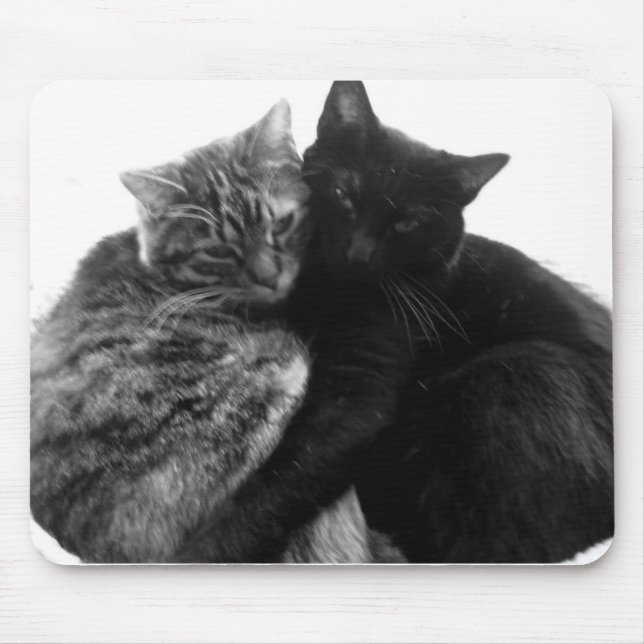 Katzen, die Mousepad streicheln (Vorne)