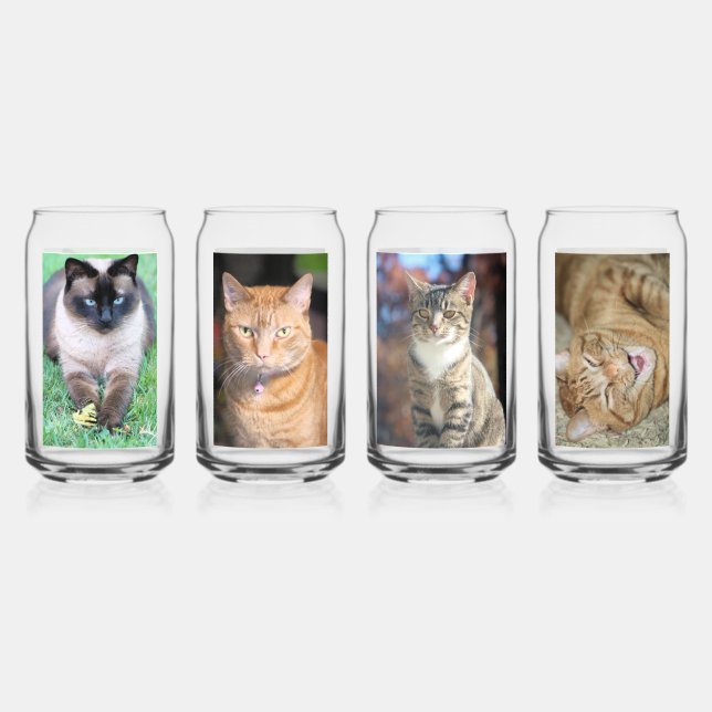 Katzen Dosenglas (Vorderseite)