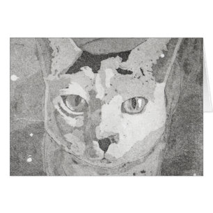 Katzen-Druck