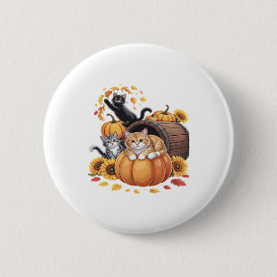 Katzen fallen Herbst-Kürbisse Erntedank Sonnenblum Button