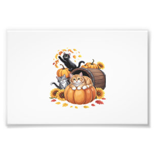 Katzen Fallen Herbst Kürbisse Erntedankfest Sonnen Fotodruck