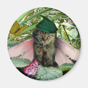 Katzen-feenhafter Elf-Magnet Magnet
