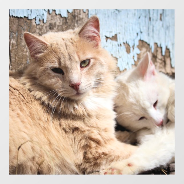Katzen Fensteraufkleber (Blatt)