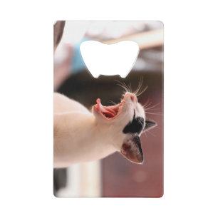 Katzen-Flaschen-Öffner Geldbeutel Flaschenöffner