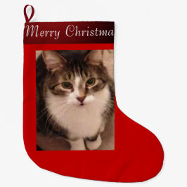 Katzen-Foto Großer Weihnachtsstrumpf