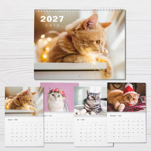 Katzen Foto Moderner Kalender 2027