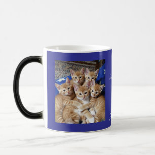 Katzen-Foto-Muster, Tasse