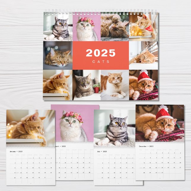 Katzen FotoCollage Modern 2025 Kalender (Von Creator hochgeladen)