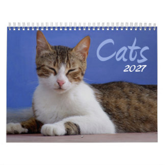 Katzen-Fotokalender 2027 Kalender