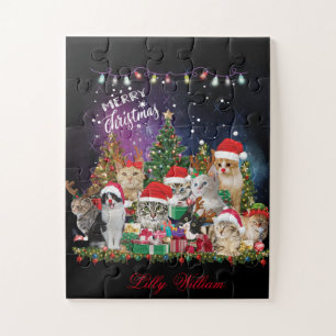 Katzen Frohe Weihnachtslicht