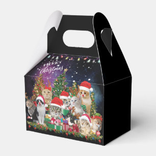 Katzen Frohe Weihnachtslicht Geschenkschachtel