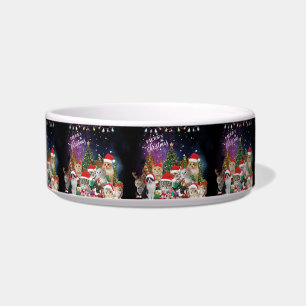 Katzen Frohe Weihnachtslicht Napf
