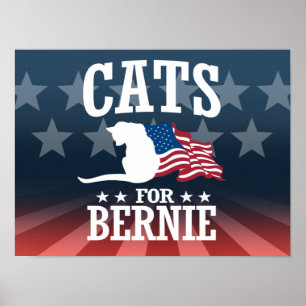 KATZEN FÜR BERNIE-SANDPAPIERSCHLEIFMASCHINEN POSTER