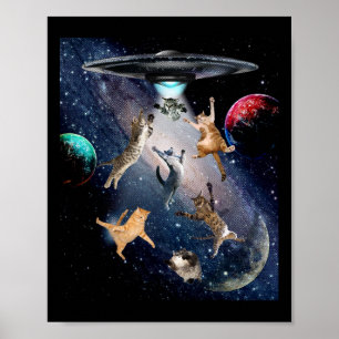 Katzen für Erwachsene Galaxy Katzen Niedliche Katz Poster