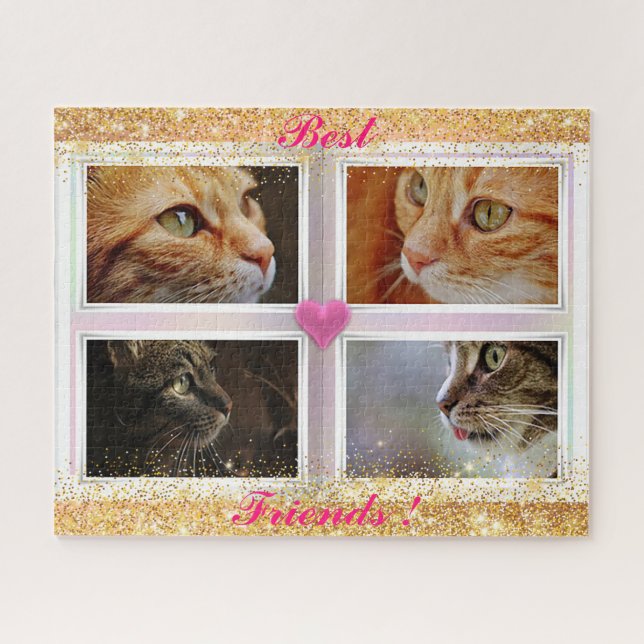 Katzen für Familien (Horizontal)