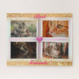 Katzen für Familien