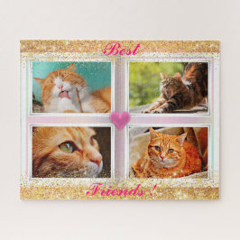 Katzen für Familien