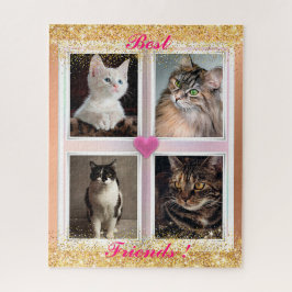 Katzen für Familien