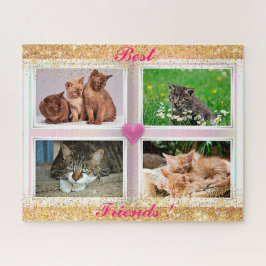 Katzen für Familien