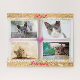 Katzen für Familien