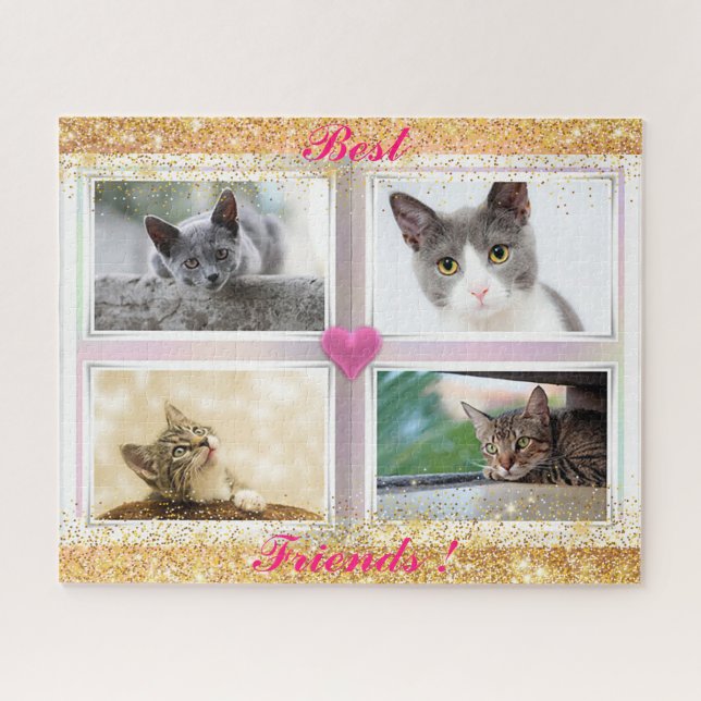 Katzen für Familien (Horizontal)