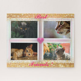 Katzen für Familien