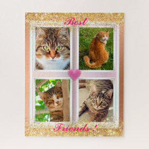 Katzen für Familien
