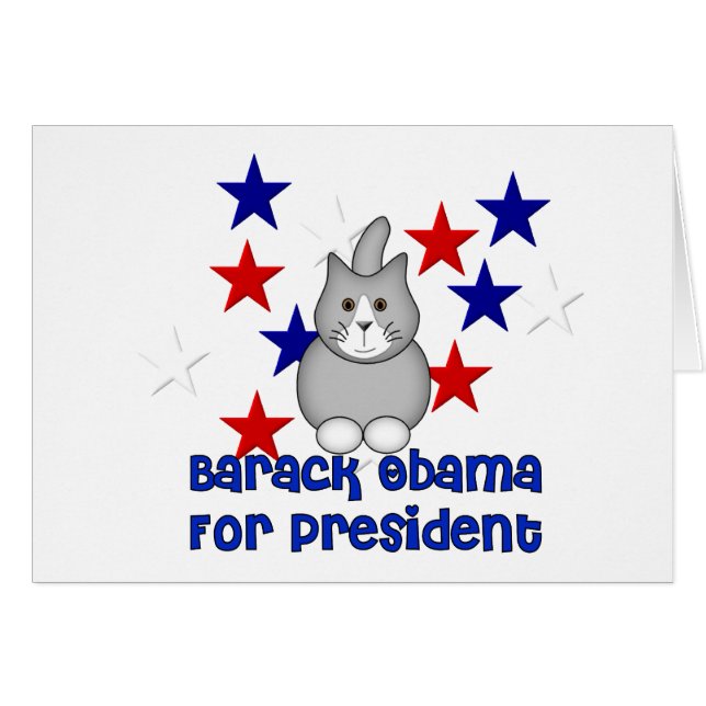 Katzen für Obama (Vorderseite (Horizontal))