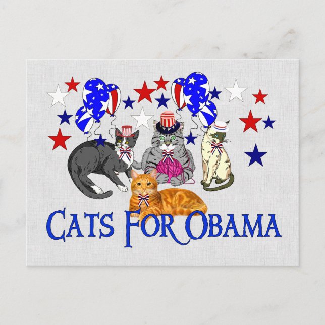 KATZEN FÜR OBAMA POSTKARTE (Vorderseite)