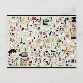 Katzen Galore Postkarte