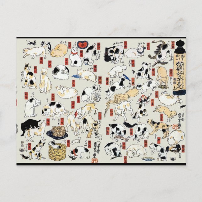 Katzen Galore Postkarte (Vorderseite)