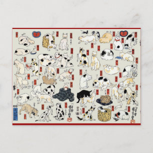Katzen Galore Postkarte