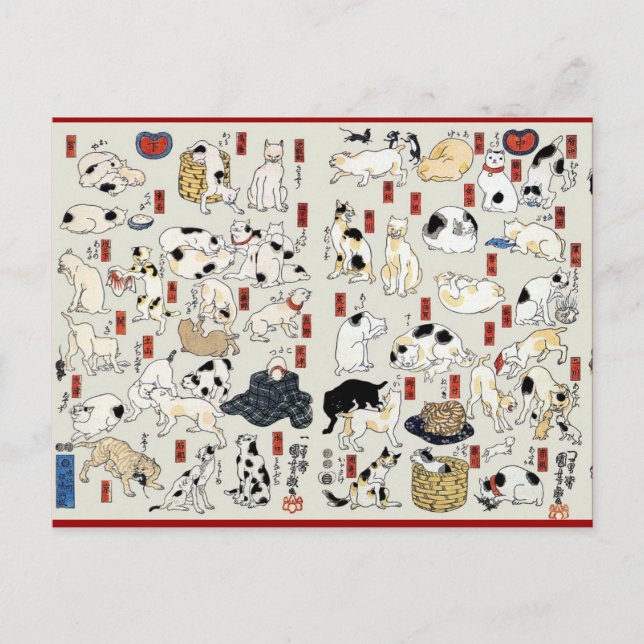 Katzen Galore Postkarte (Vorderseite)