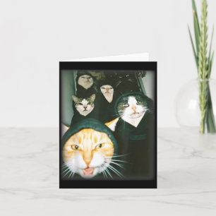 Katzen-Gang-Meme Lustige Chaotische Katzen Entfess Karte