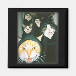 Katzen-Gang-Meme Lustige Chaotische Katzen Entfess Magnet