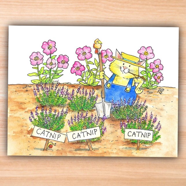 Katzen Gärtner  Postkarte (Von Creator hochgeladen)