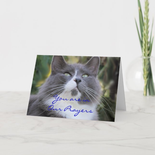 Katzen-Gebet Karteänderung für irgendeine Karte (Vorderseite)