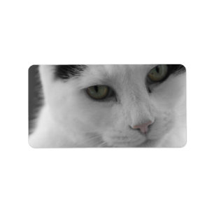 Katzen-Gedanken Adressaufkleber
