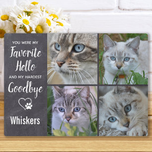 Katzen Gedenk Andenken Beileidsfoto Verlust des Ha Fotoplatte