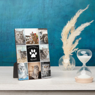 Katzen-Gedenk-Collage mit individuellem Haustierfo Fotoplatte