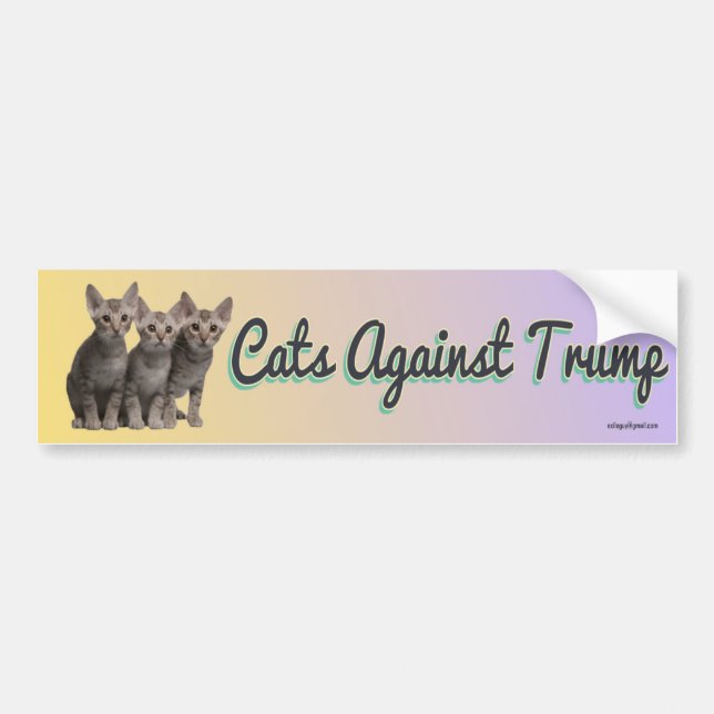 Katzen gegen Trumpf Autoaufkleber (Vorne)